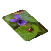 Ladybug op Sweet Violet Flowers Magneet (Rechterzijde)