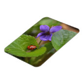 Ladybug op Sweet Violet Flowers Magneet (Linkerzijde)