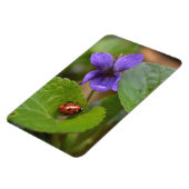 Ladybug op Sweet Violet Flowers Magneet (Linkerzijde)