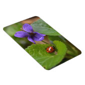 Ladybug op Sweet Violet Flowers Magneet (Rechterzijde)