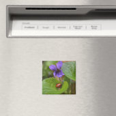 Ladybug op Sweet Violet Flowers Magneet (Insitu (Vaatwasser))