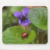 Ladybug op Sweet Violet Flowers Muismat (Voorkant)