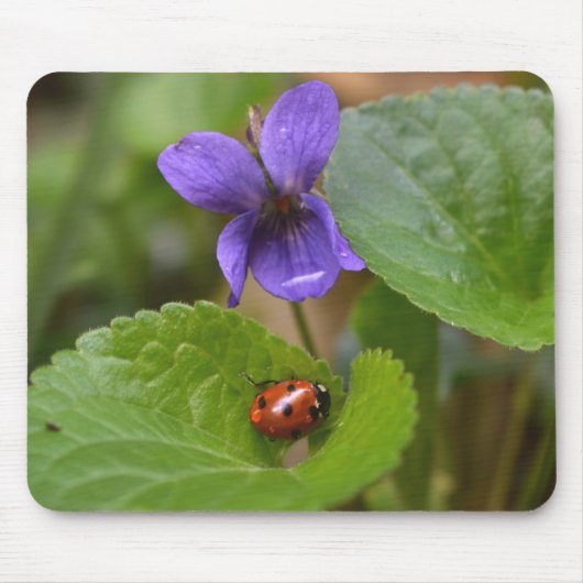 Ladybug op Sweet Violet Flowers Muismat (Voorkant)