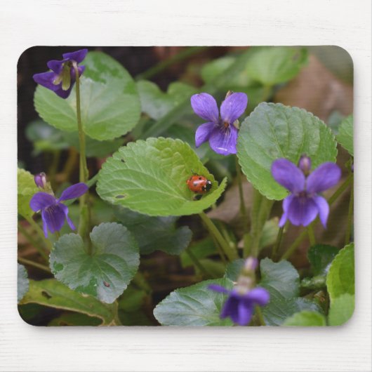 Ladybug op Sweet Violet Flowers Muismat (Voorkant)
