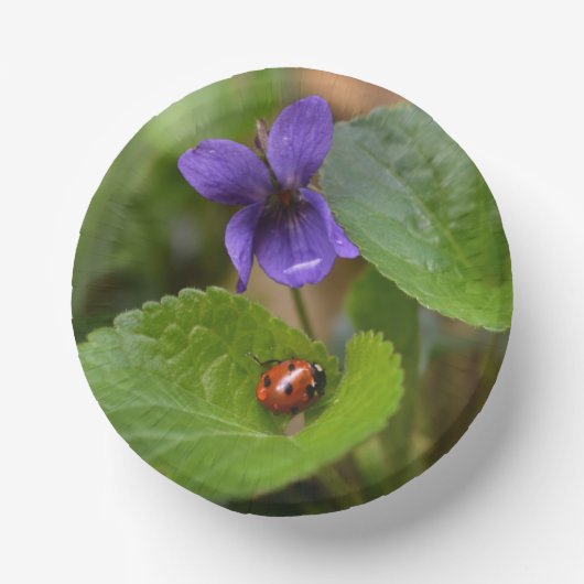 Ladybug op Sweet Violet Flowers Papieren Kommen (Voorkant)