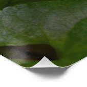 Ladybug op Sweet Violet Flowers Perfect Poster (Hoek)