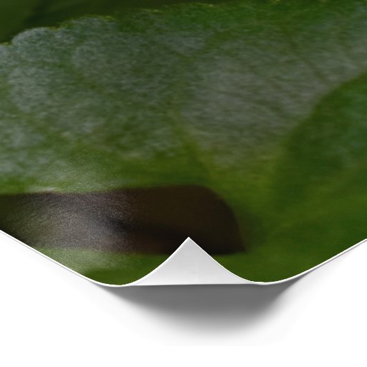 Ladybug op Sweet Violet Flowers Perfect Poster (Hoek)