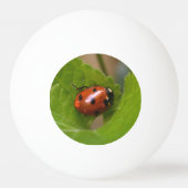 Ladybug op Sweet Violet Flowers Pingpongbal (Voorkant)