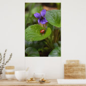 Ladybug op Sweet Violet Flowers Poster (Keuken)
