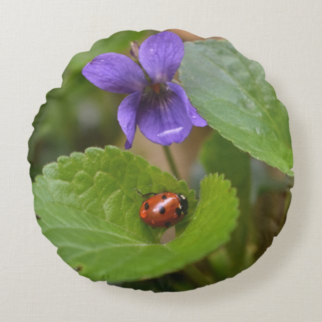 Ladybug op Sweet Violet Flowers Rond Kussen (Voorkant)