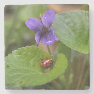 Ladybug op Sweet Violet Flowers Stenen Onderzetter