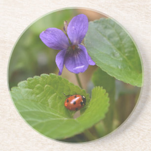 Ladybug op Sweet Violet Flowers Zandsteen Onderzetter