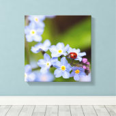 Ladybug op 'Vergeet-me-niet' Canvas Afdruk (Insitu (Houten vloer))