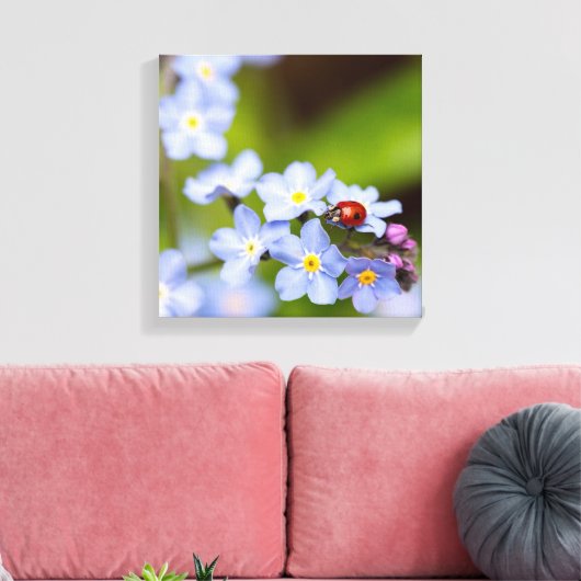 Ladybug op 'Vergeet-me-niet' Canvas Afdruk (Insitu (Woonkamer))
