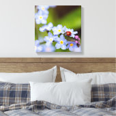 Ladybug op 'Vergeet-me-niet' Canvas Afdruk (Insitu (Slaapkamer))