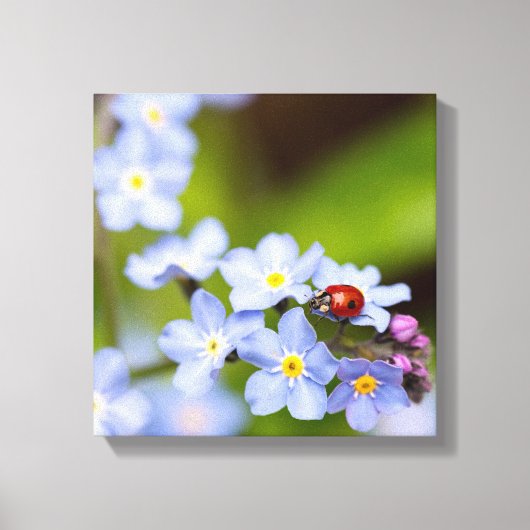 Ladybug op 'Vergeet-me-niet' Canvas Afdruk (Voorkant)