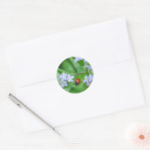 Ladybug op 'Vergeet-me-niet-Stickers' Ronde Sticker (Envelop)