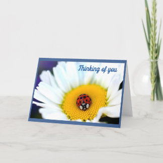 Ladybug op White Daisy Kaart