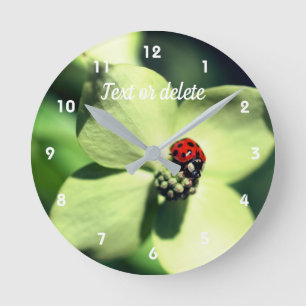 Ladybug op White Dogwood Flower Persoonlijk Ronde Klok