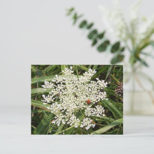 Ladybug op Yarrow Briefkaart (Staand voorkant)