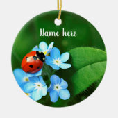 Ladybug Ornament (Voorkant)
