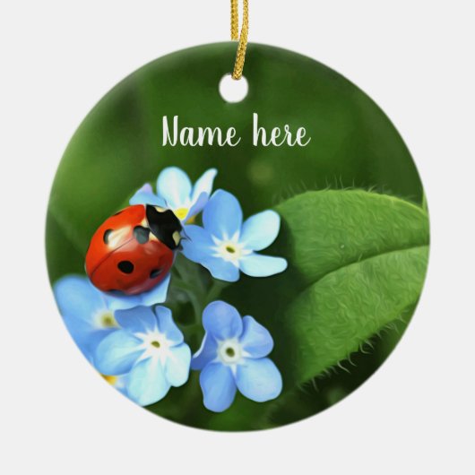 Ladybug Ornament (Voorkant)