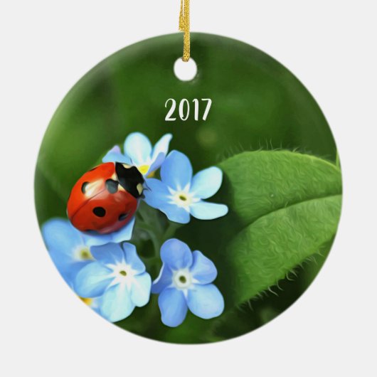 Ladybug Ornament (Achterkant)