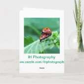 Ladybug Paar - Succes Kaart (Achterkant)
