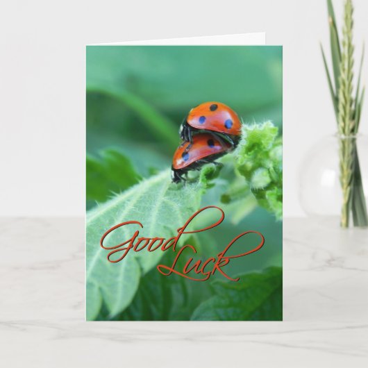 Ladybug Paar - Succes Kaart (Voorkant)