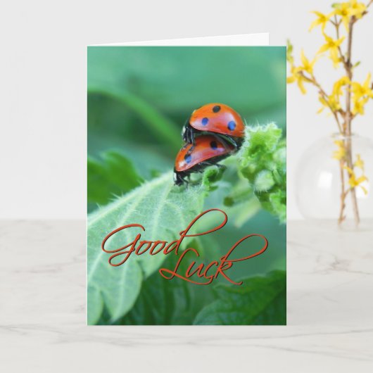Ladybug Paar - Succes Kaart (Gele Bloem)
