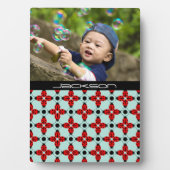 Ladybug Pattern Fotoplaat (voorkant)