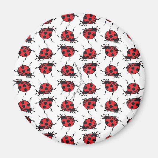 Ladybug Pattern Magneet (Voorkant)