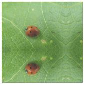 Ladybug Patterned Animal Craft Fabric Stof (Close Up)