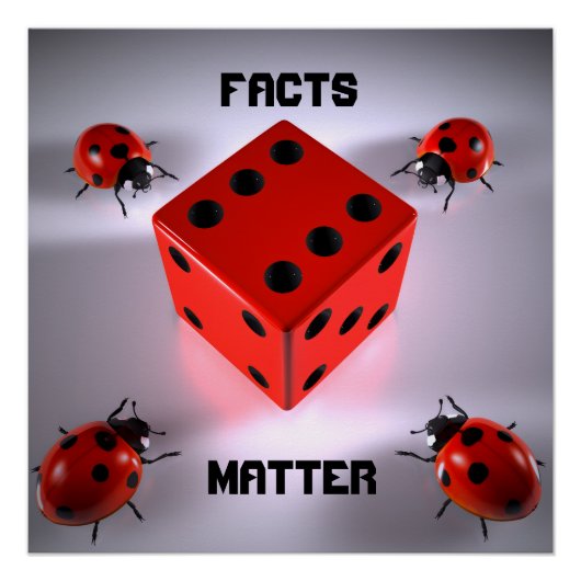 Ladybug Perfect Poster (Voorkant)