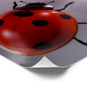 Ladybug Perfect Poster (Hoek)