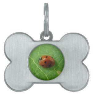 Ladybug Pet Tag Huisdieren Naamplaatje