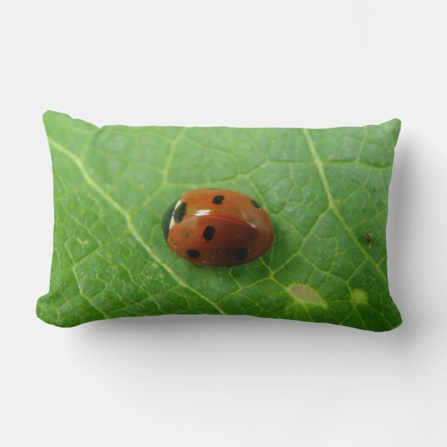 Ladybug Pillow Kussen (Voorkant)