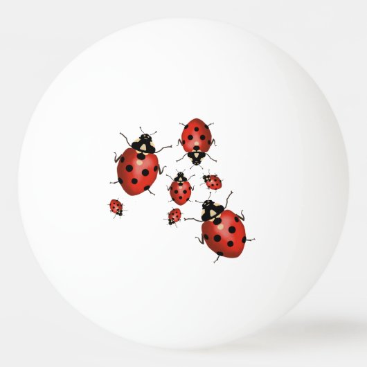 Ladybug Pingpongbal (Voorkant)