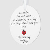 Ladybug Poem: Vermaken, hugs en Good Luck Ornament (voorkant)