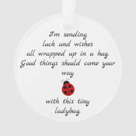 Ladybug Poem: Vermaken, hugs en Good Luck Ornament