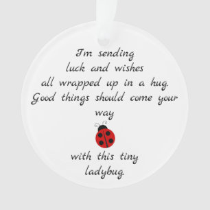 Ladybug Poem: Vermaken, hugs en Good Luck Ornament