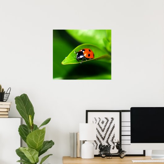 Ladybug Poster (Thuiskantoor)