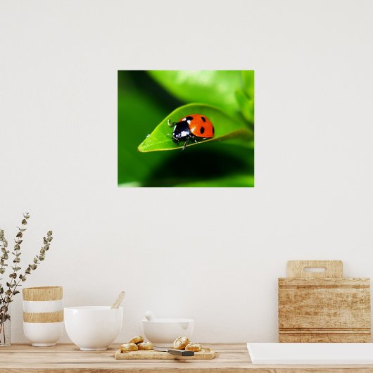 Ladybug Poster (Keuken)