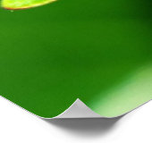 Ladybug Poster (Hoek)