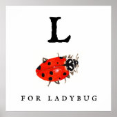 Ladybug Poster (Voorkant)