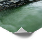 Ladybug Poster (Hoek)