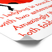 Ladybug Poster (Hoek)