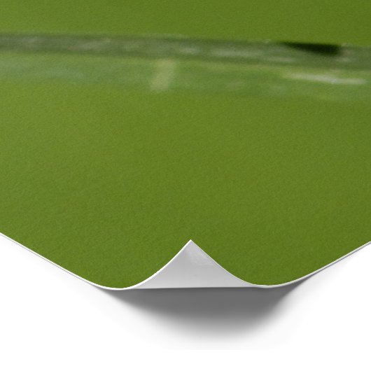 Ladybug Poster (Hoek)