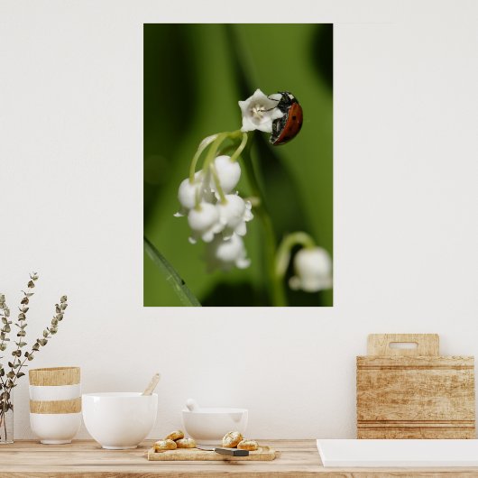 Ladybug Poster (Keuken)