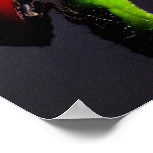 Ladybug Poster (Hoek)